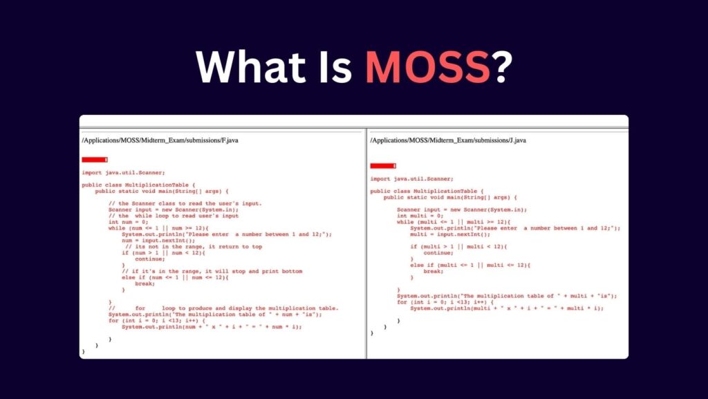Navigating the Unknown: Can MOSS Detect Chat GPT? Explore the frontier of AI scrutiny with our comprehensive analysis.