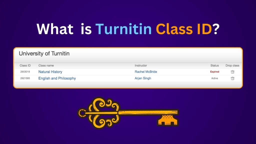 Complete Guide About Using Turnitin Without Class ID
