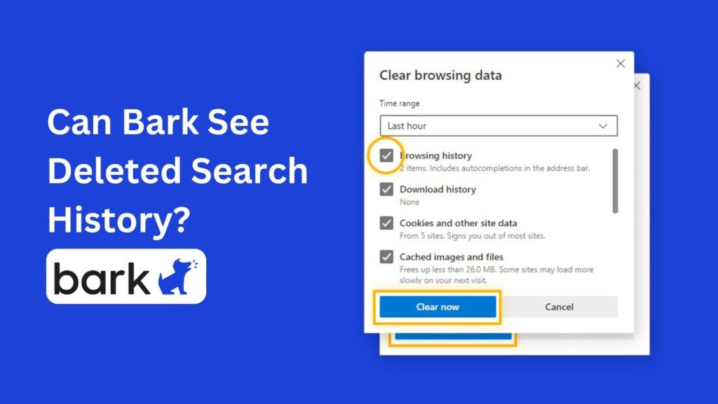 Can Bark see deleted search history? Learn how Bark empowers parents while respecting privacy.