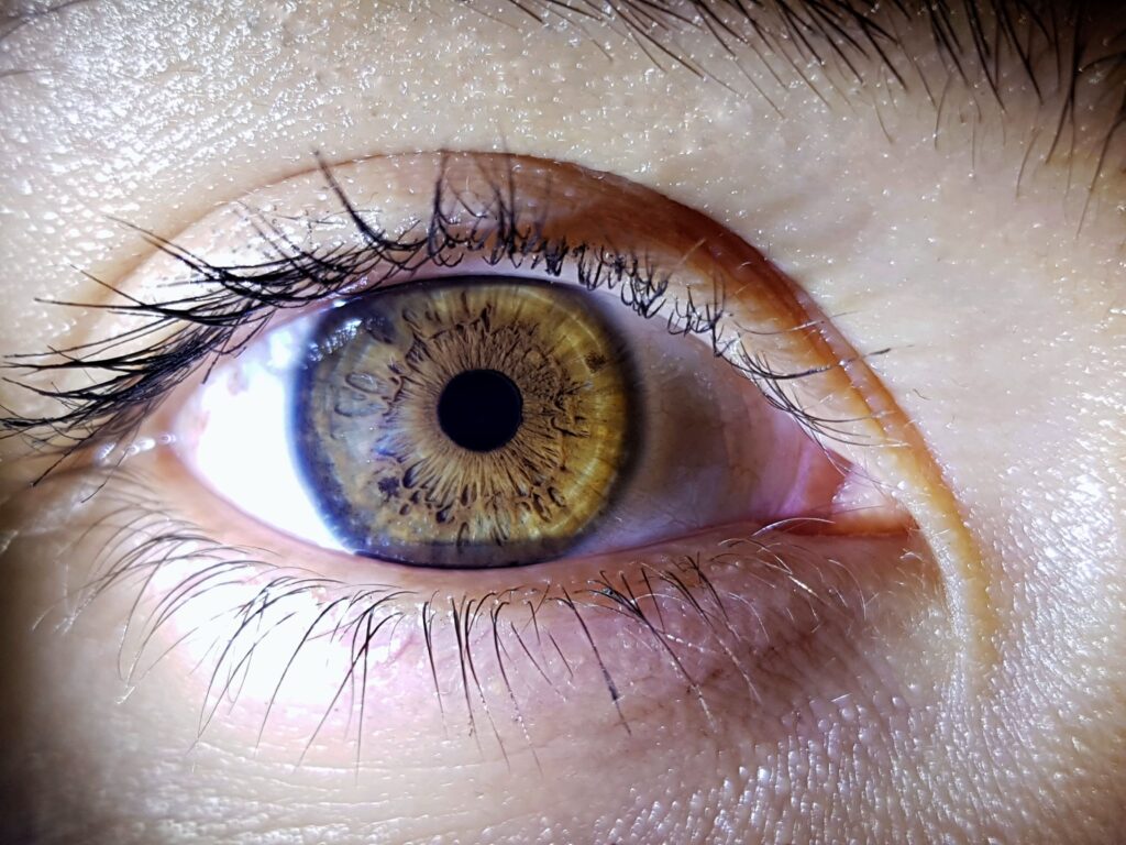 Eye-opening insights: Does ProctorU Track Eye Movement during exams? Learn more!